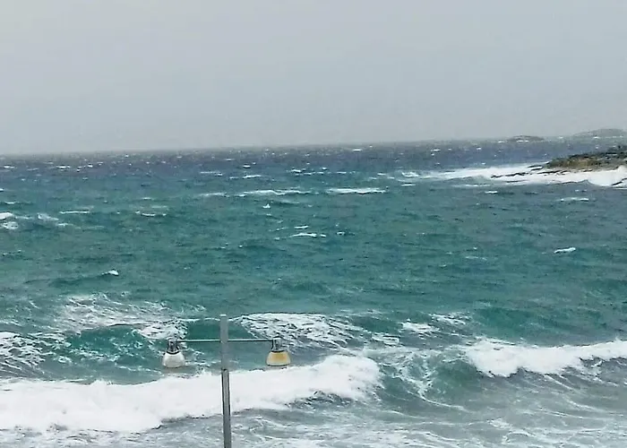 Seaview لوغاراس